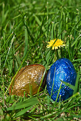 Image showing eggs in the garden