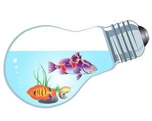 Image showing bulb-aquarium