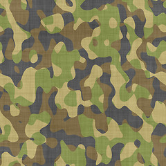 Image showing close up camoflage