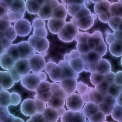 Image showing cells