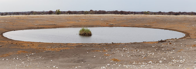 Image showing Empty waterhole in namibia game reserve