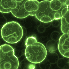 Image showing cells