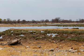 Image showing Empty waterhole in namibia game reserve