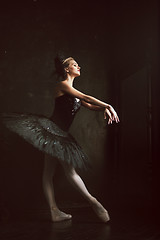 Image showing Portrait of the ballerina in ballet tatu on black background