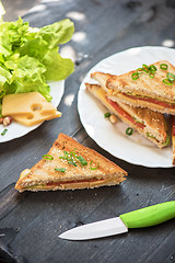 Image showing Cheese tasty sandwich