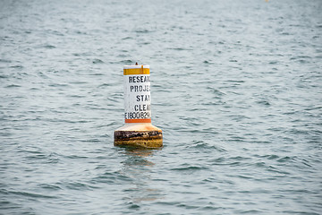 Image showing research project buoy stay clear in water