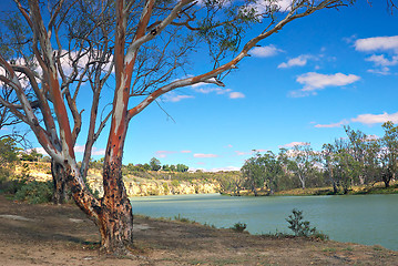 Image showing murray river