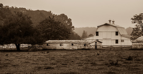 Image showing landscape view of a cow farm ranch in fog