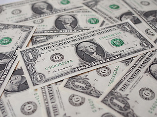 Image showing Dollar notes 1 Dollar