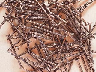 Image showing Wood screw