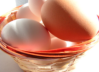 Image showing Eggs