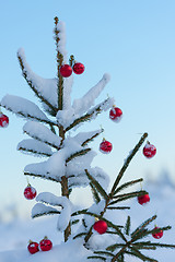 Image showing christmas balls on pine tree