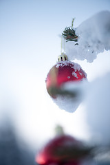 Image showing christmas balls on pine tree