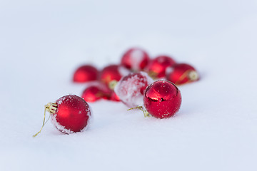 Image showing red christmas balls in fresh snow