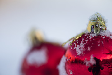 Image showing christmas balls on pine tree