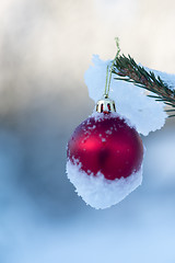 Image showing christmas balls on pine tree