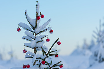 Image showing christmas balls on pine tree