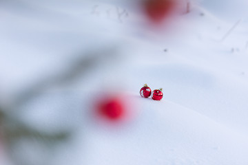 Image showing red christmas balls in fresh snow