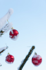 Image showing christmas balls on pine tree