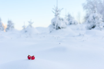 Image showing red christmas balls in fresh snow