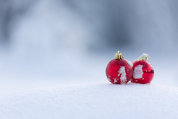 Image showing red christmas balls in fresh snow