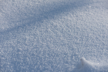 Image showing fresh snow background