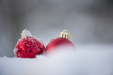 Image showing red christmas balls in fresh snow