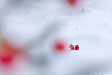 Image showing red christmas balls in fresh snow