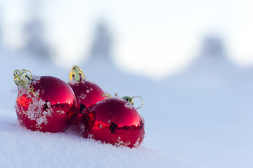 Image showing red christmas ball in fresh snow