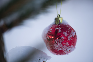 Image showing red christmas balls in fresh snow