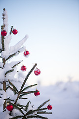 Image showing christmas balls on pine tree