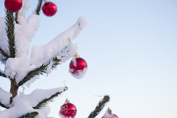 Image showing christmas balls on pine tree