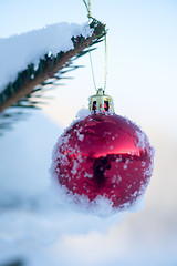 Image showing christmas balls on pine tree