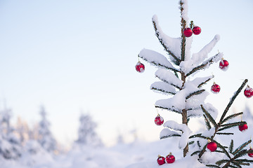 Image showing christmas balls on pine tree