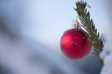 Image showing christmas balls on pine tree