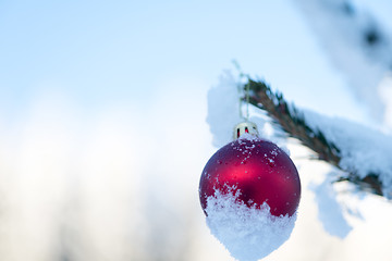 Image showing christmas balls on pine tree