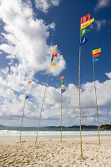Image showing Flagpoles with colorful flags on the beach