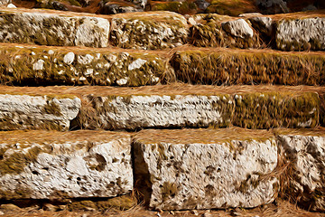 Image showing pine needles    ruins stone and theatre in  antalya  arykanda tu