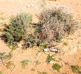 Image showing  in todra gorge morocco africa and  village