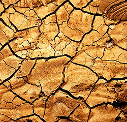 Image showing  texture of a broke dry sand 