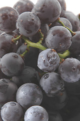 Image showing concord grapes 2