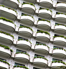 Image showing   terrace   the centre  bangkok thailand plant bush flowers