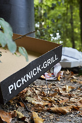 Image showing Picknick litter lying on ground