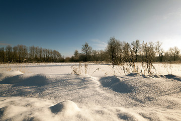 Image showing    park in winter