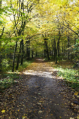 Image showing autumn trees . Belarus