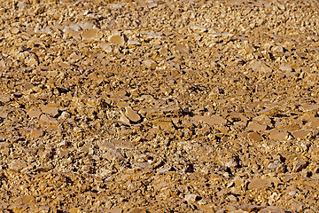 Image showing plowed land   close up.