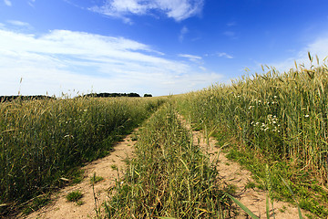 Image showing  Rural Dirt road 
