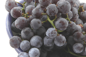 Image showing concord grapes