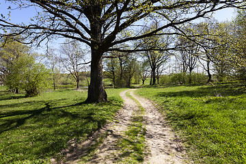 Image showing   rural Dirt road  