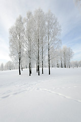 Image showing Winter Park. snow.